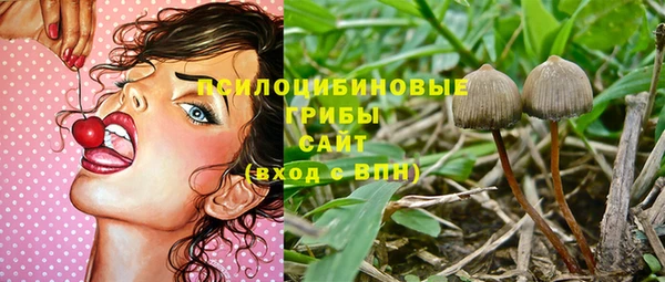 ECSTASY Абаза